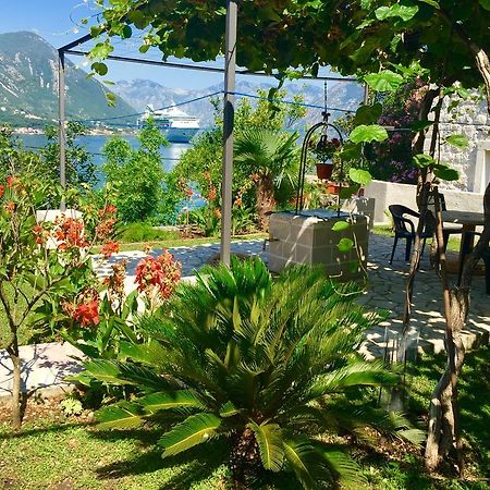 Studio Apartment Todorovic Kotor Luaran gambar
